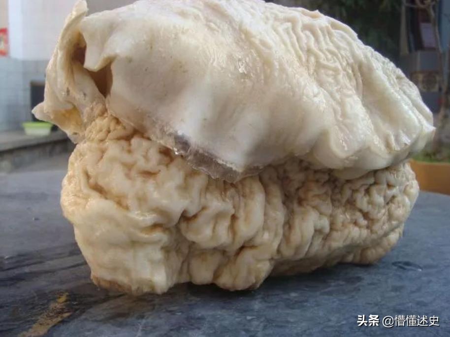 辽宁农民捡140斤太岁一夜暴富,当年捡140斤太岁现在怎样了