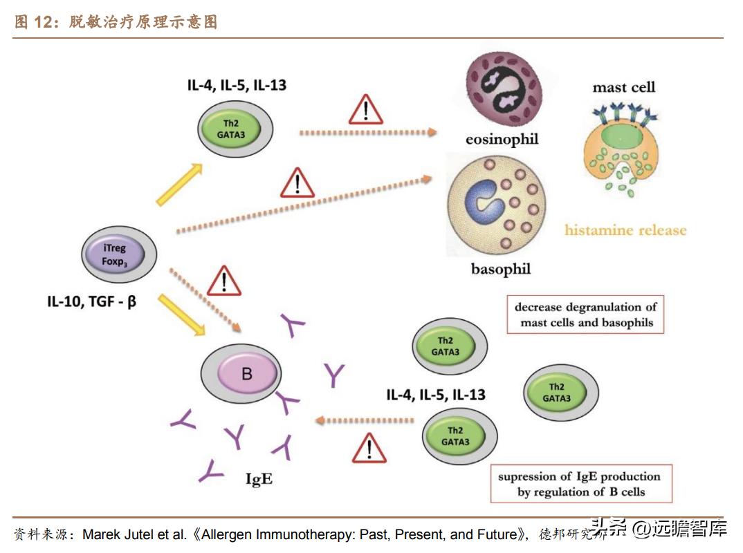 脱敏治疗龙头公司,我武生物脱敏治疗效果怎么样