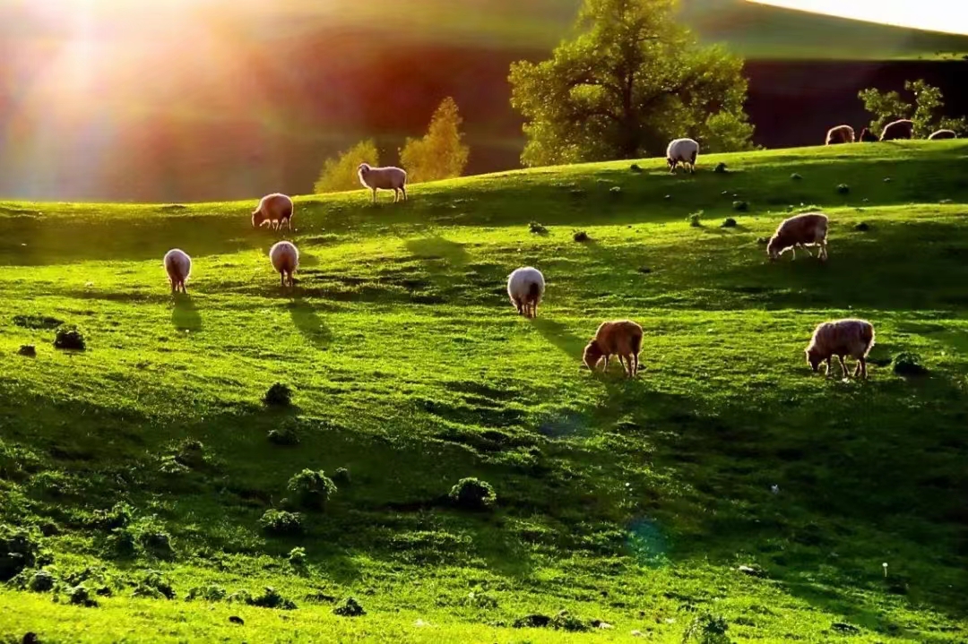 电商行业如何进行税务筹划,电商行业税收筹划有哪些基本方法