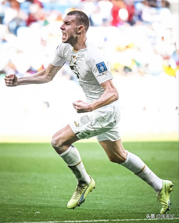 塞尔维亚足球世预赛,塞尔维亚足球世界杯名单