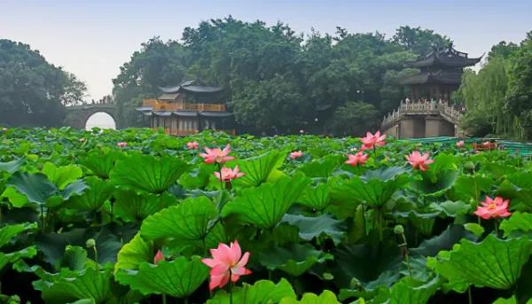 曲院风荷和苏堤断桥的位置,走遍西湖旅游攻略