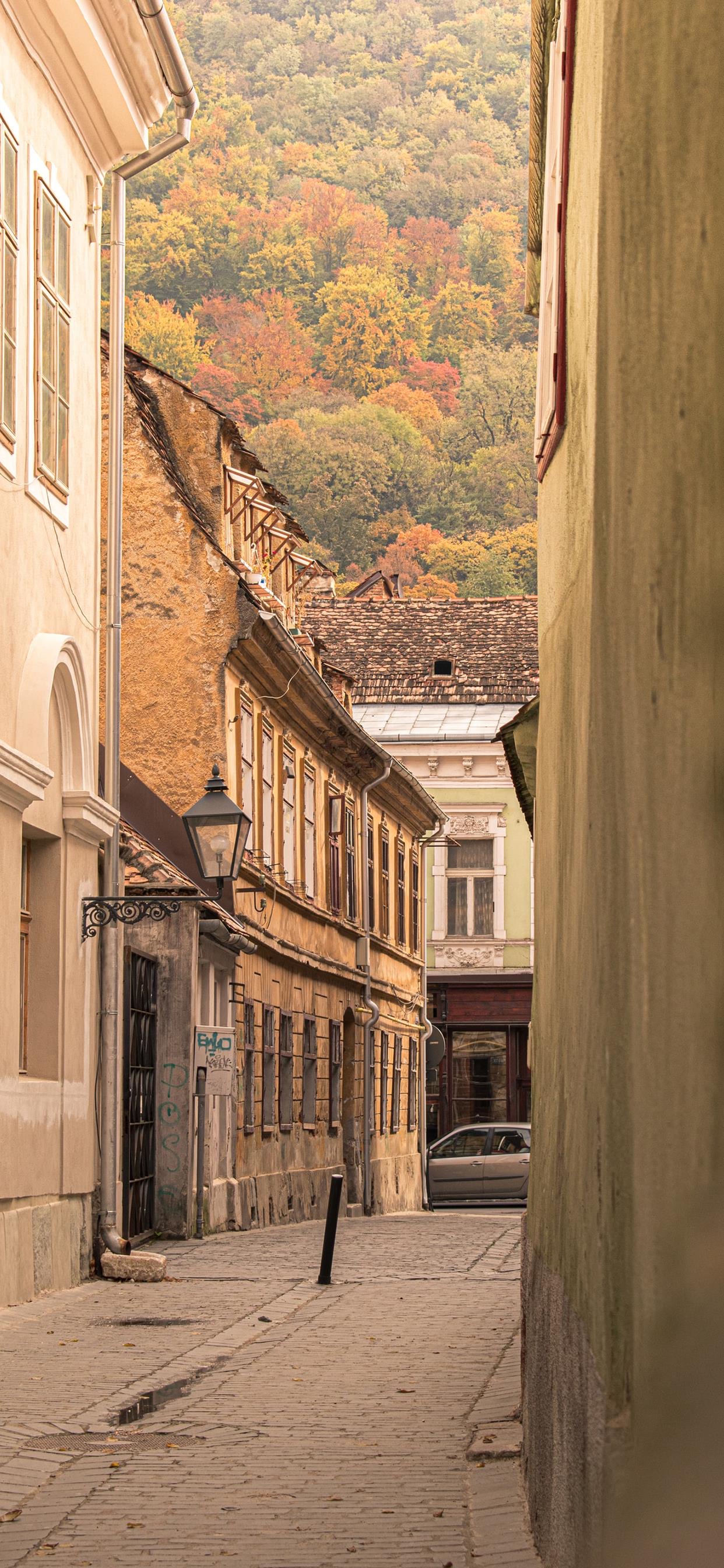 超治愈又好看的手机壁纸,推荐超好看的手机壁纸