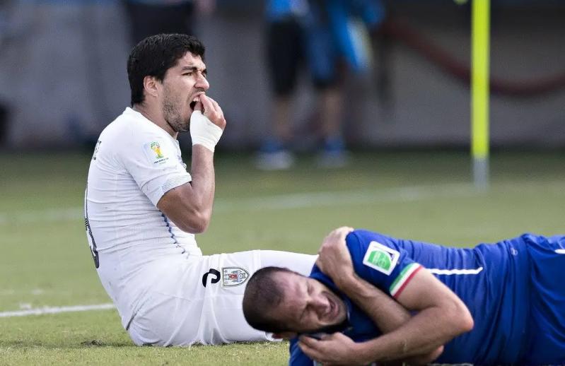 老鹰和狮子见面,老鹰与狮子大战