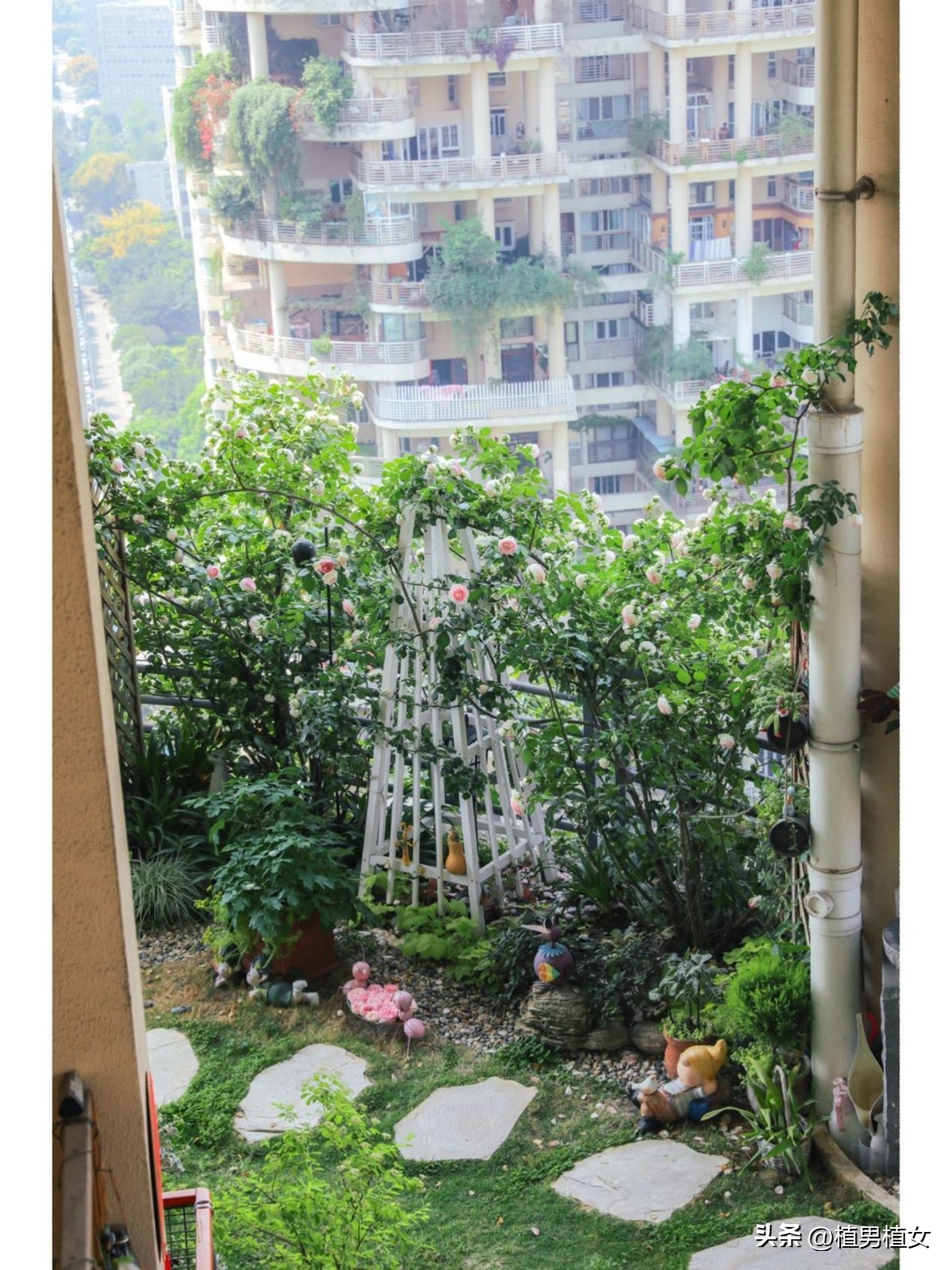 成都100万内的空中花园,成都100万的空中花园