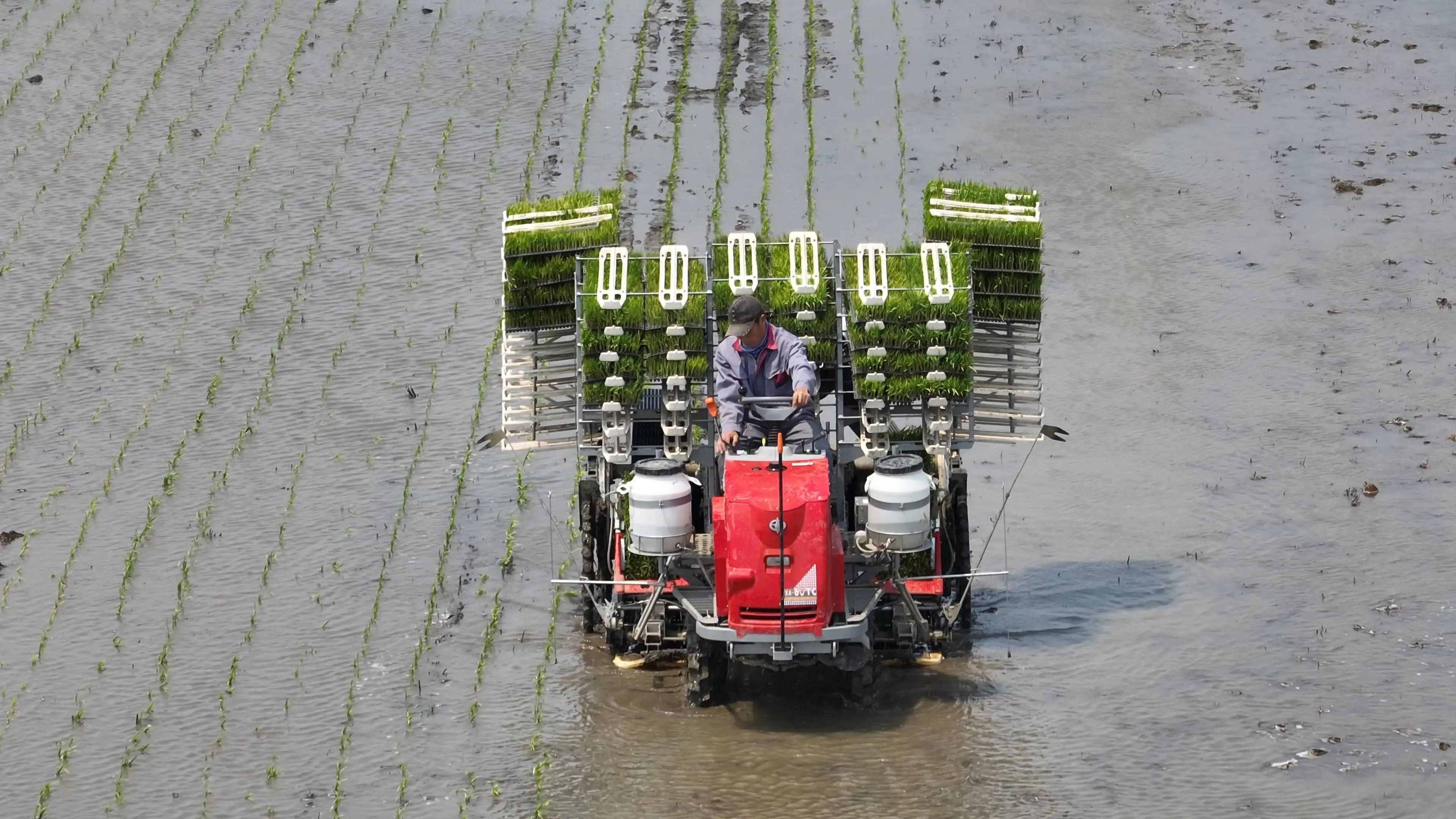 28小时卖出10万斤东北米京东11.11自有品牌惠寻迎来开门红