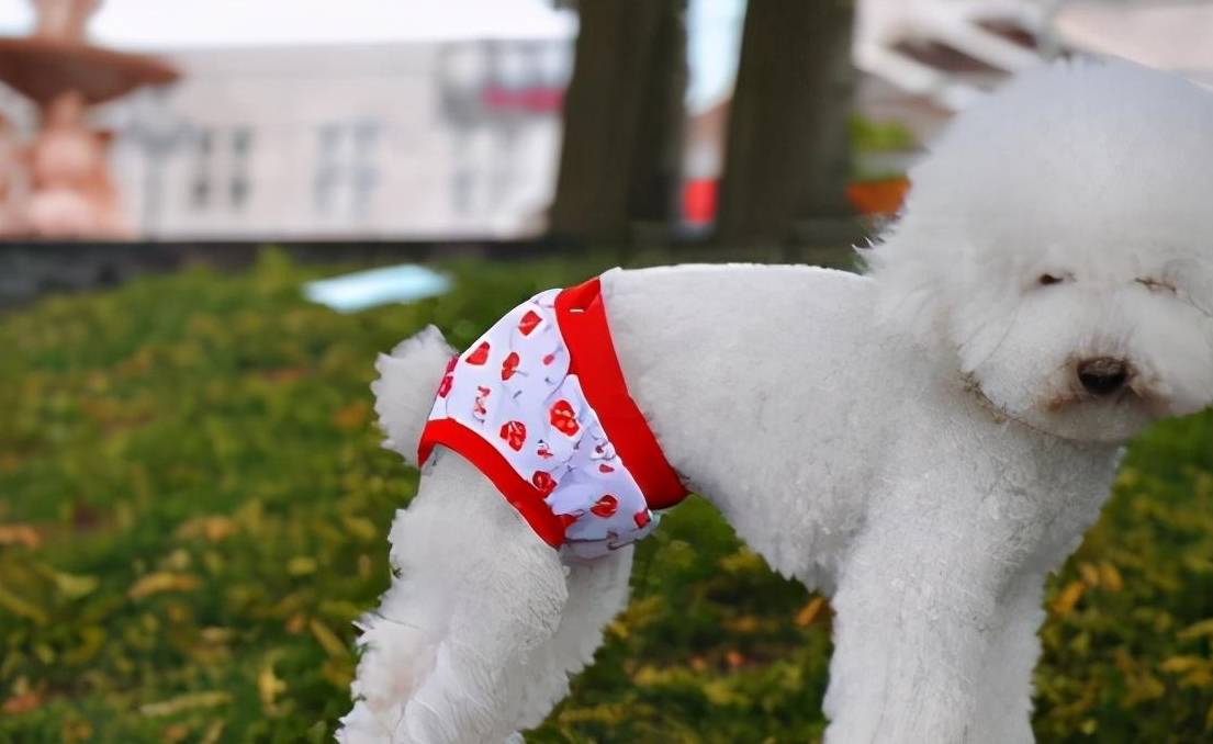 你必须了解的两性知识,你必须要知道的宠物知识