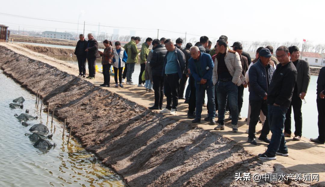 坚持做好产品质量的决心,坚持做良心产品