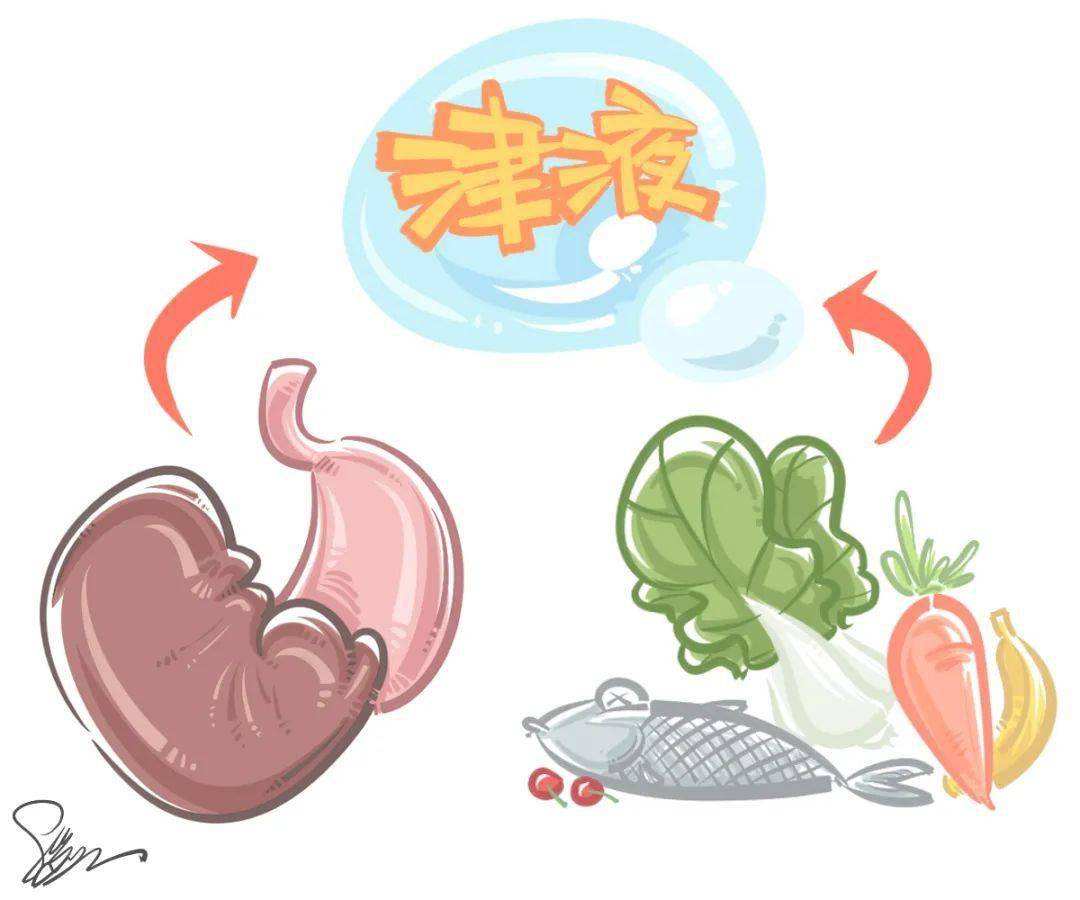 经方六经辨证理论体系与临床应用,中医辨证体系