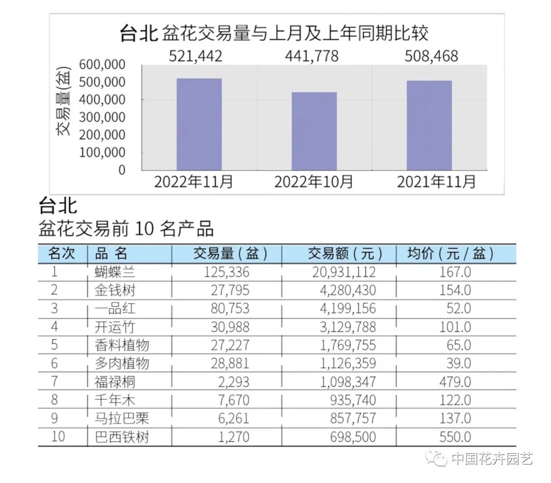 2023年花卉市场行情,2023花卉市场分析报告
