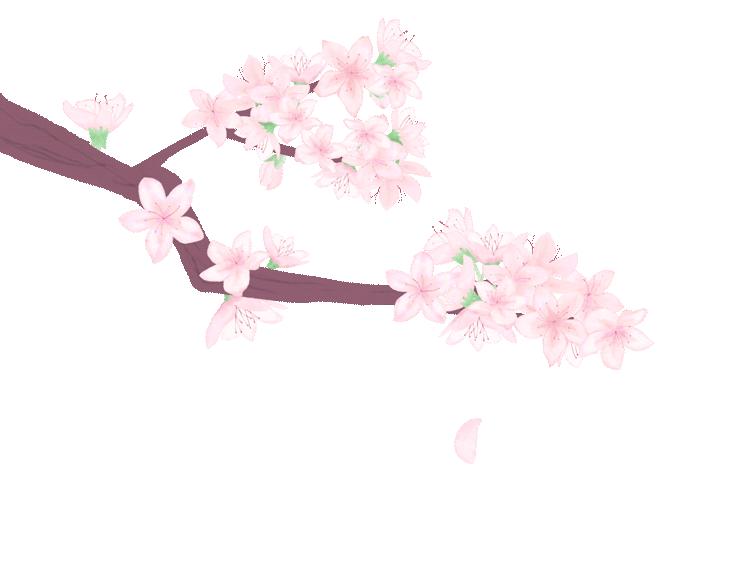 “昔人已乘黄鹤去”，继忠已经离开我们整整一年了