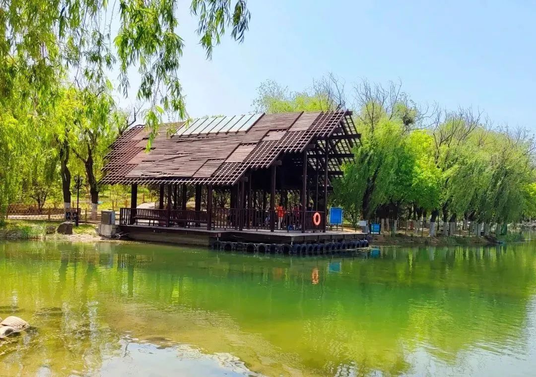 2020日韩青岛进口博览会,2019日韩青岛进口商品博览会开幕