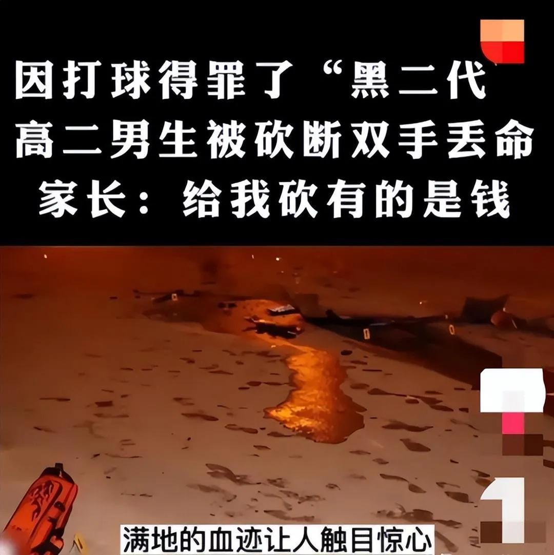 高中生与黑二代打篮球发生冲突，父母叫17人砍断双手失去生命。