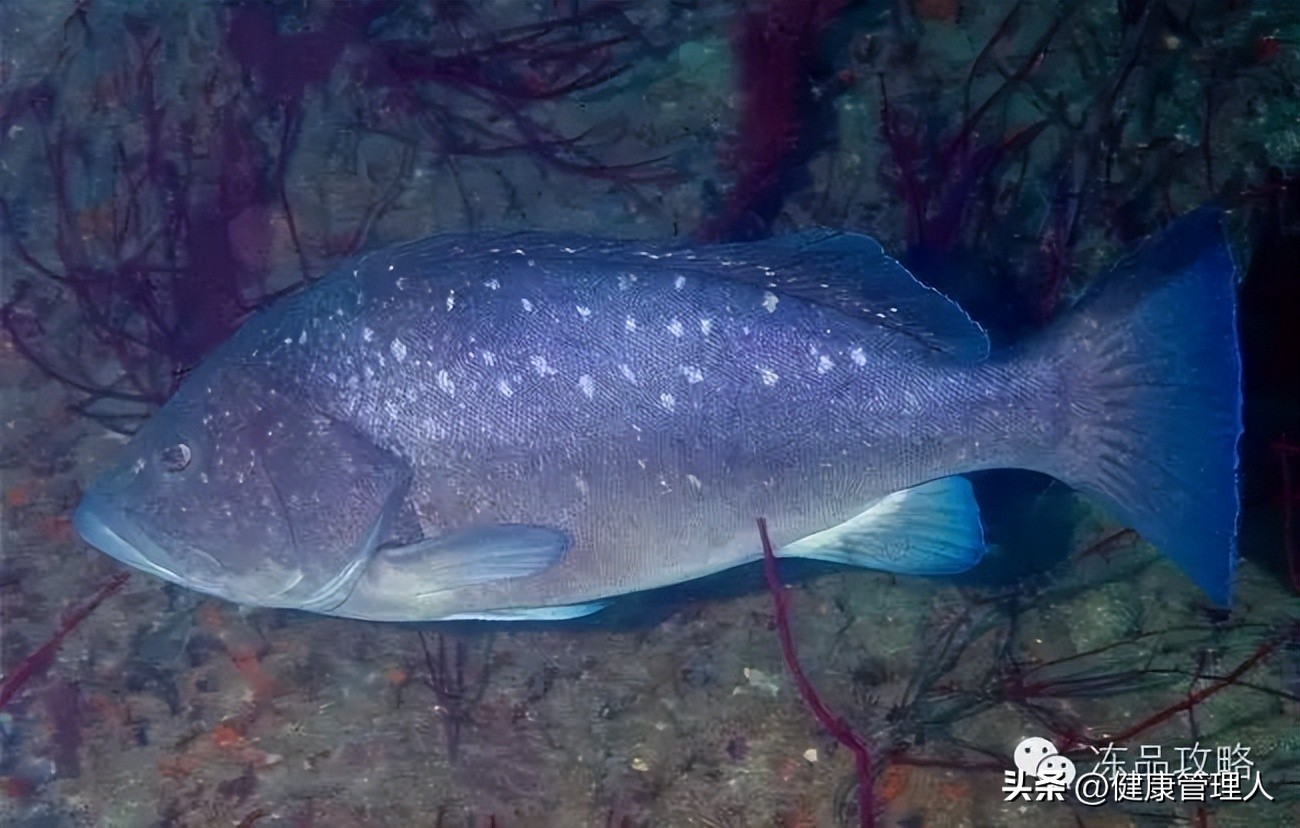 美容护肤食疗方案,美容护肤养生介绍