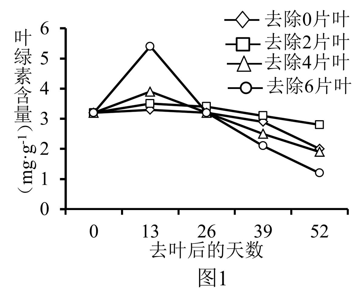 高中生物细胞代谢产生什么物质,高中生物细胞代谢视频