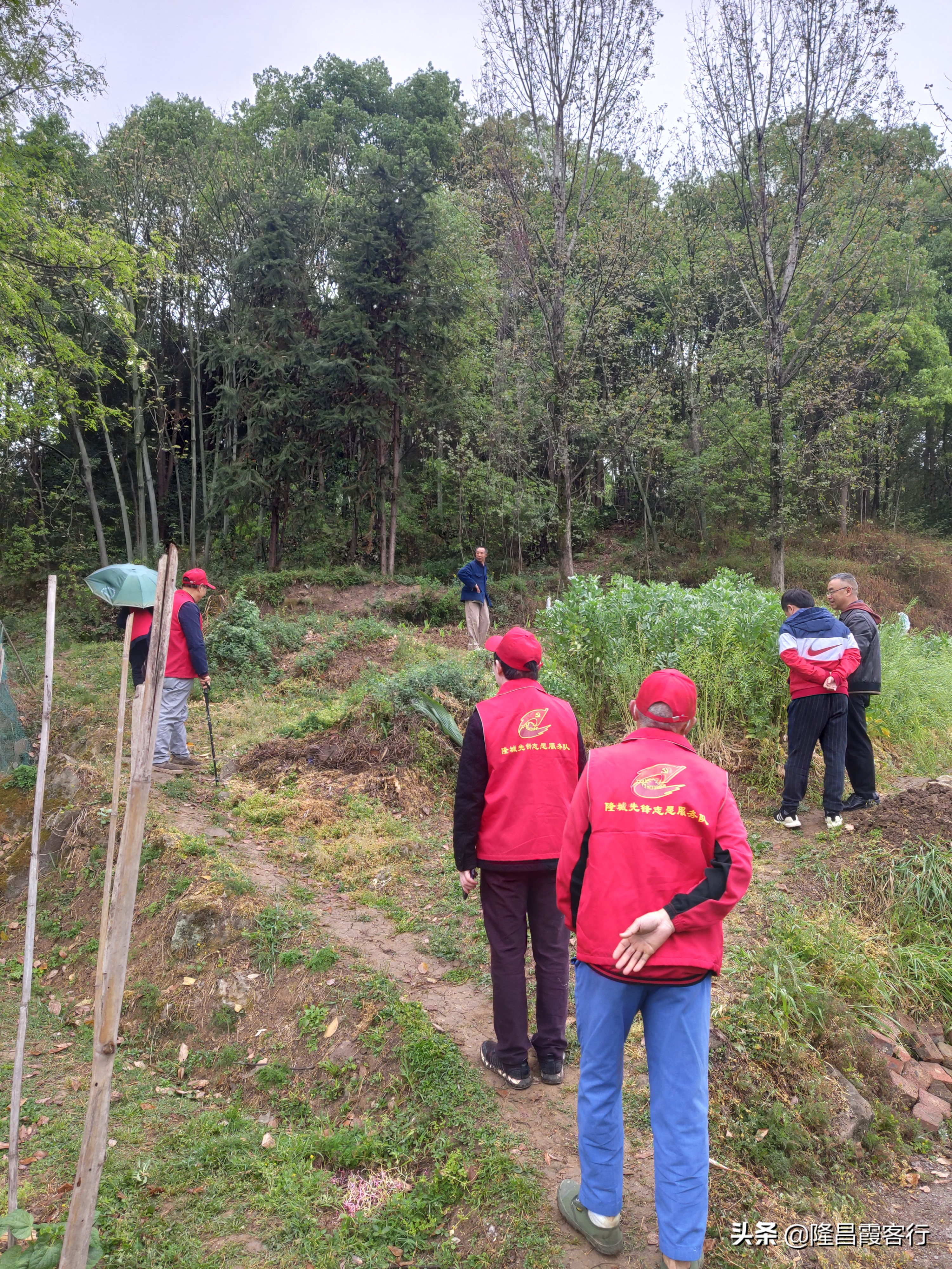 隆昌石燕桥古墓,隆昌石燕桥石狮子