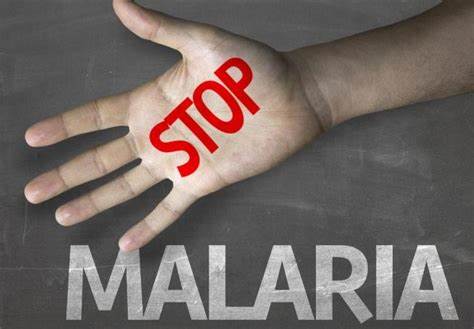 抗疟疾良药青蒿素,疟疾能吃青蒿素吗