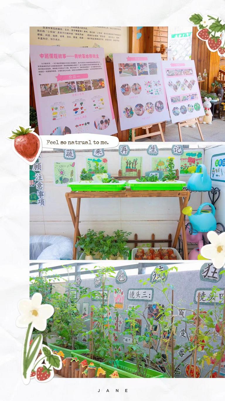 追求好游戏，促进全发展！南安一幼开放日“玩”点多！