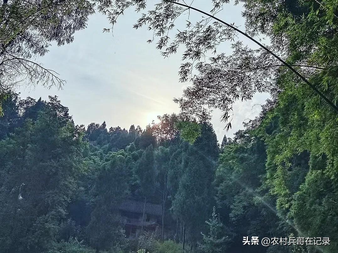 龚大,退休的年纪,找陈哥帮忙,说话却不经考量,但李哥可不由着他！