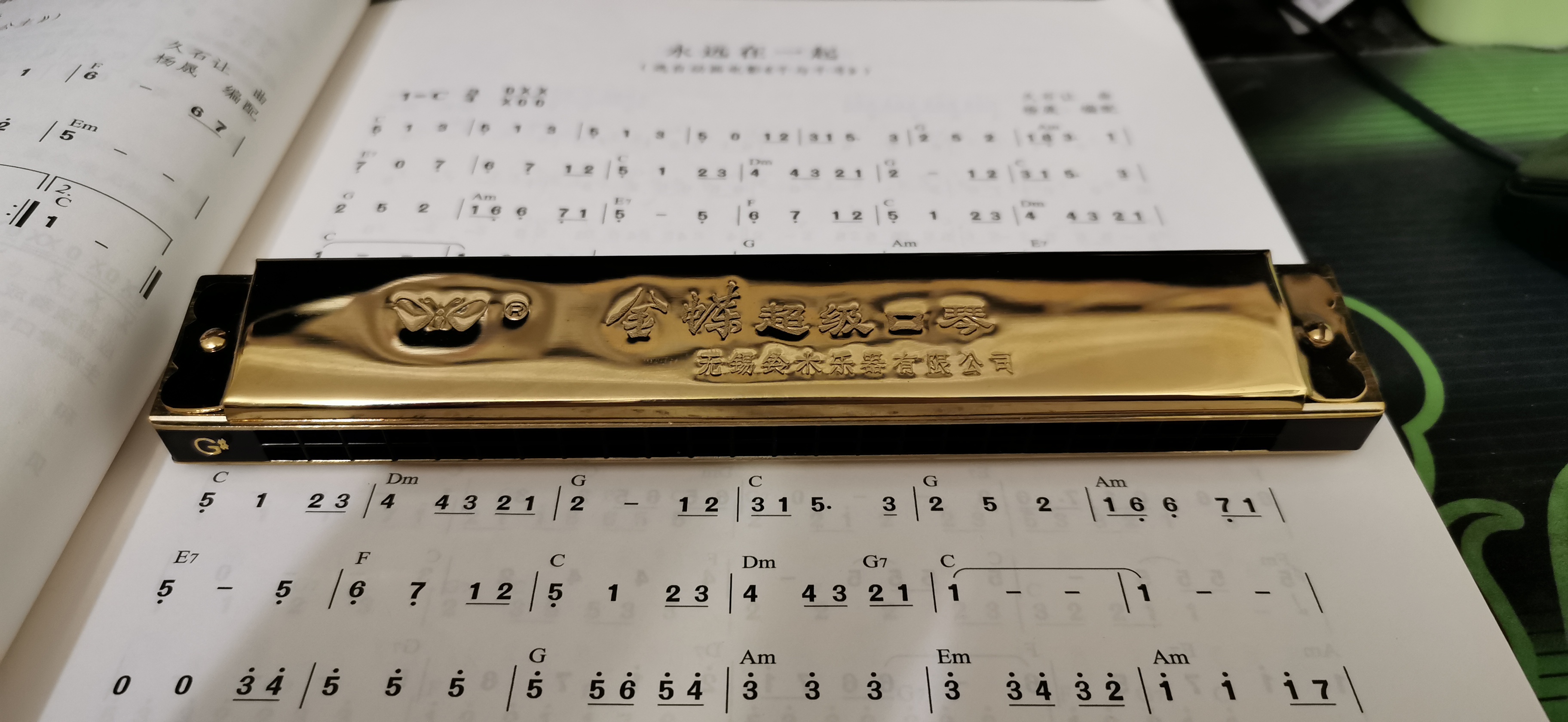 铃木金蝶口琴,铃木口琴