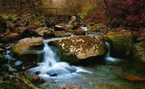 辽宁本溪市,辽宁本溪市共享租赁项目加盟电话