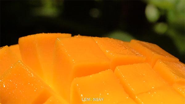 用6个芒果瓶子可以做什么,3斤芒果可以做多少芒果干