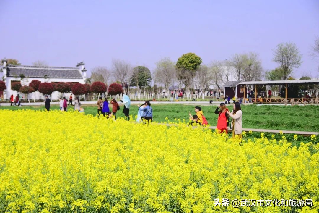 3月8日哪些景区有活动,3月8日女性免费的景区