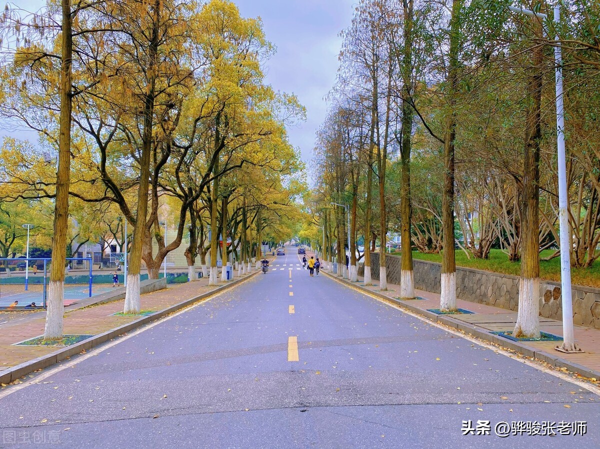 7所大学升为“双一流”高校，亮点在哪里？最低录取分是多少？