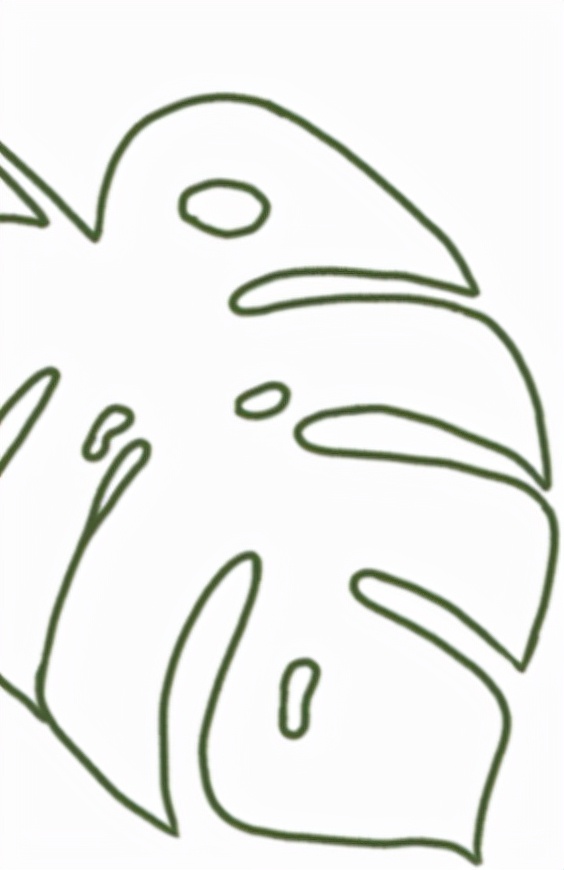 揭秘纯露的真面目,怎么判断纯露是不是纯正的