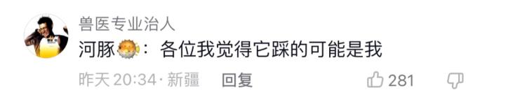 看了都说丑却又爱不释手，Q版“马踏飞燕”重现冰墩墩火爆盛状？