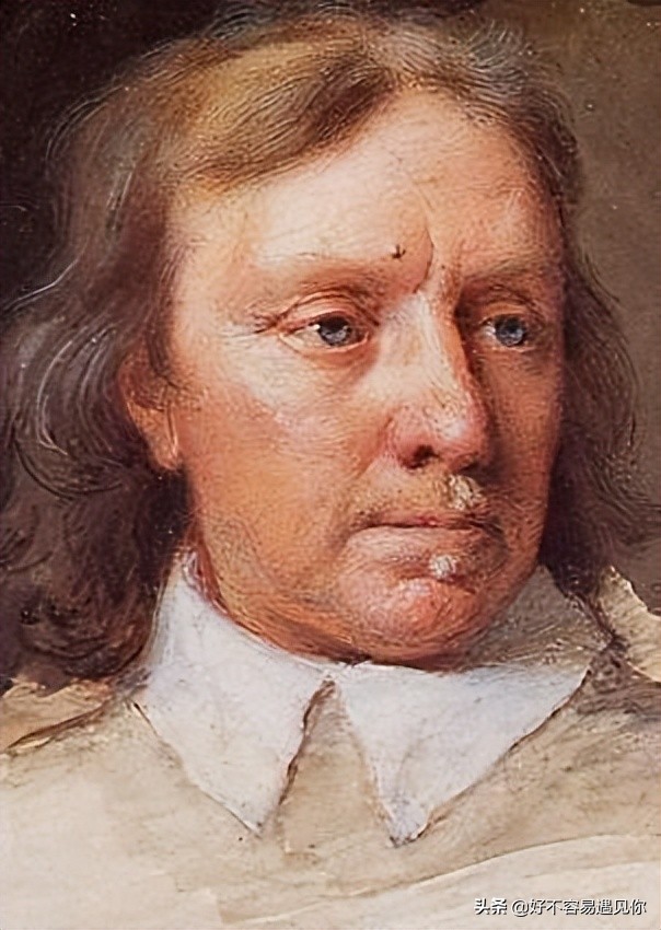 乌俄最新形势,俄乌荷兰战争最新消息