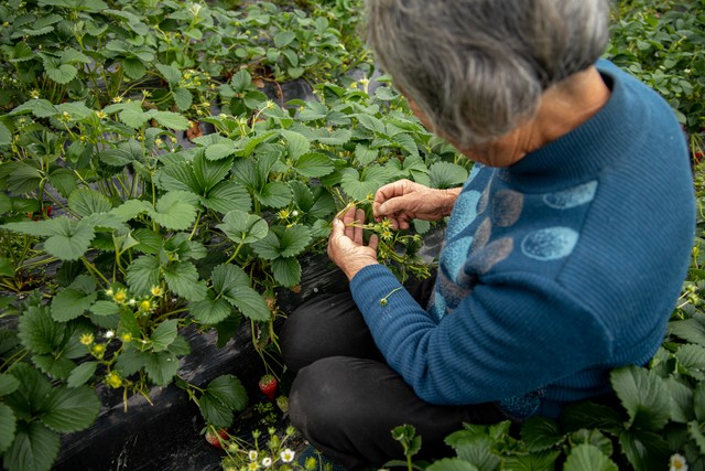 涓堝か浣忛櫌濡诲瓙鎷掔粷鍑哄尰鐤楄垂,濡诲瓙鐥呴噸涓堝か鎷垮伐璧勫崱浜よ垂