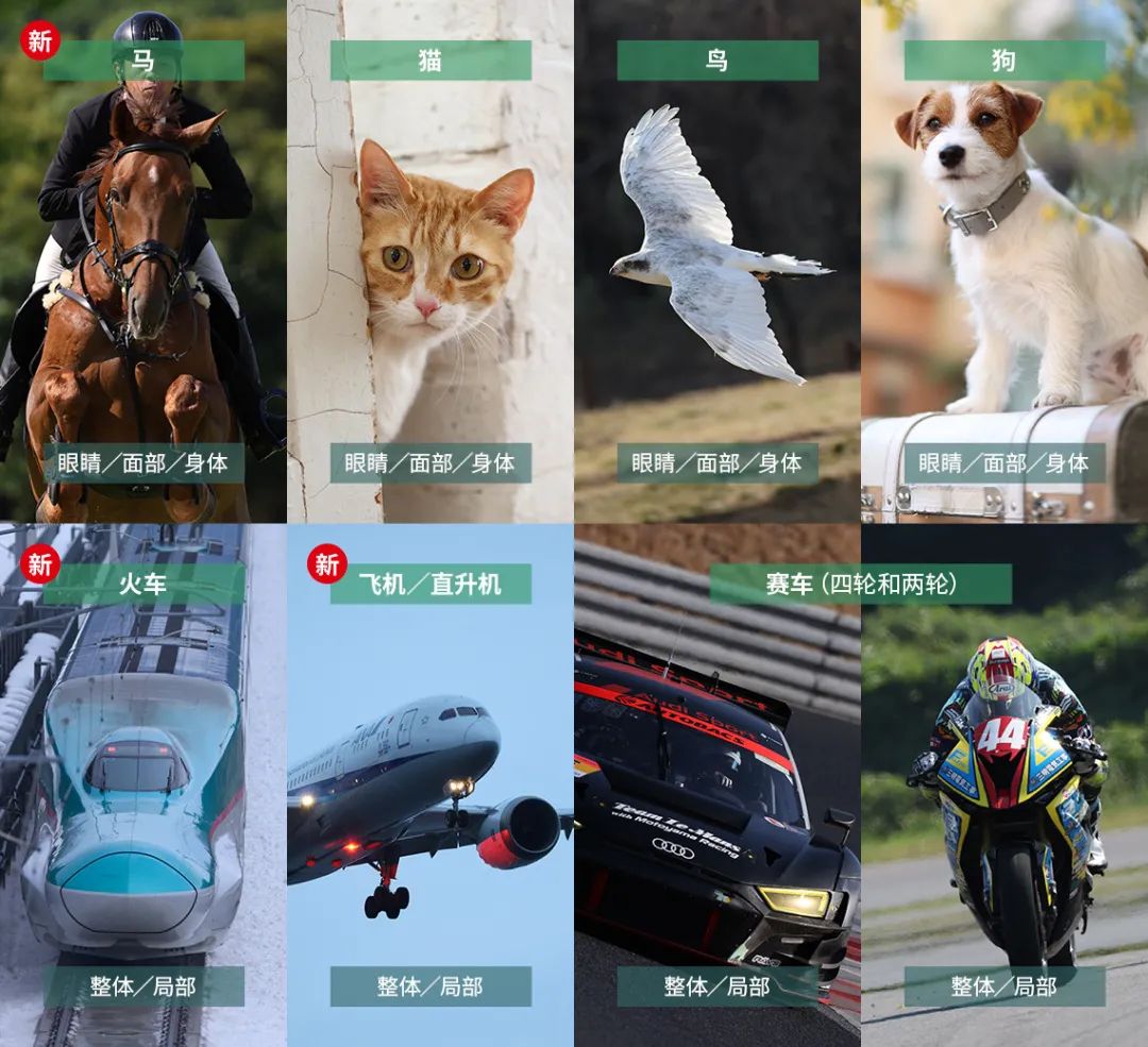 近几年数码相机发展,2018年数码相机整体市场需求