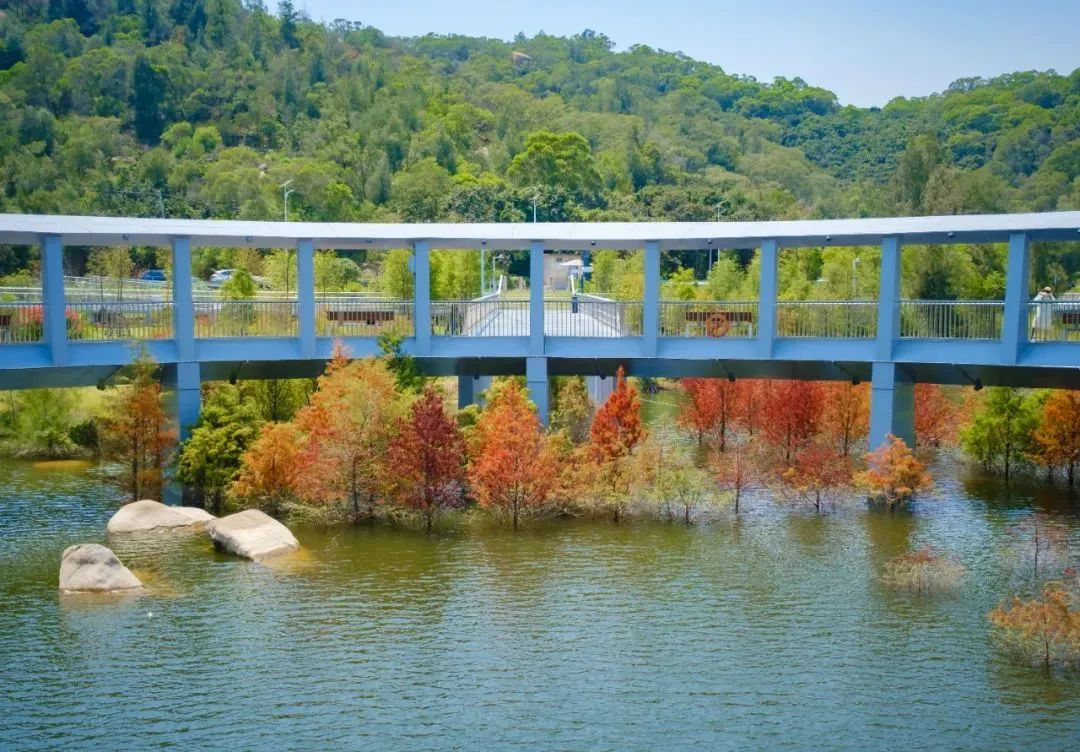 2019年厦门秋游,厦门高中秋游