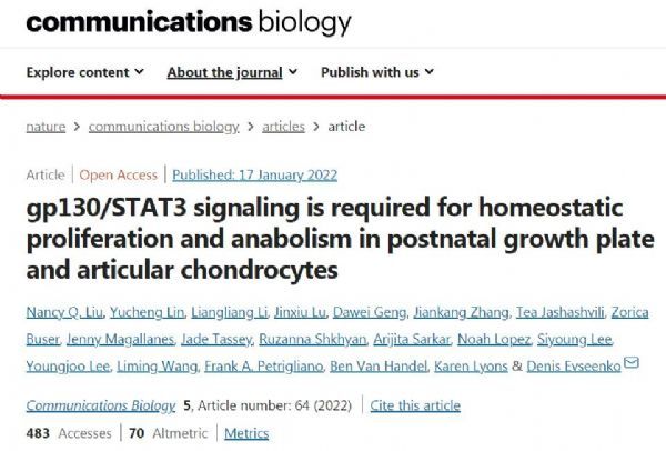 骨关节炎的研究,骨肿瘤课题