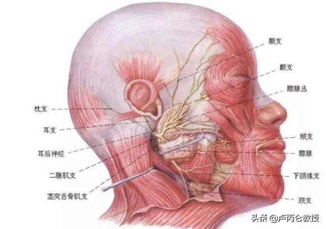 电波拉皮眼部除皱有后遗症吗,做拉皮除皱有风险吗