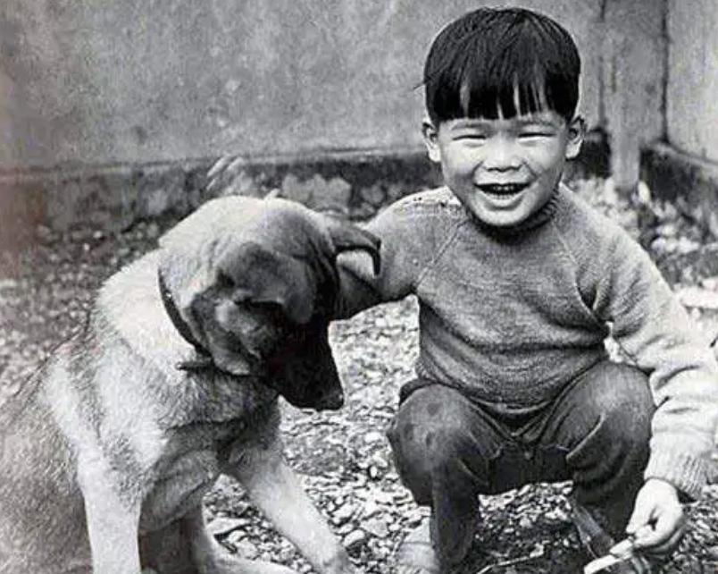 罗大佑脊柱手术,罗大佑和李宗盛关系