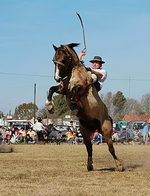 潘帕斯草原的牛仔，孤独与勇敢的化身——高乔人