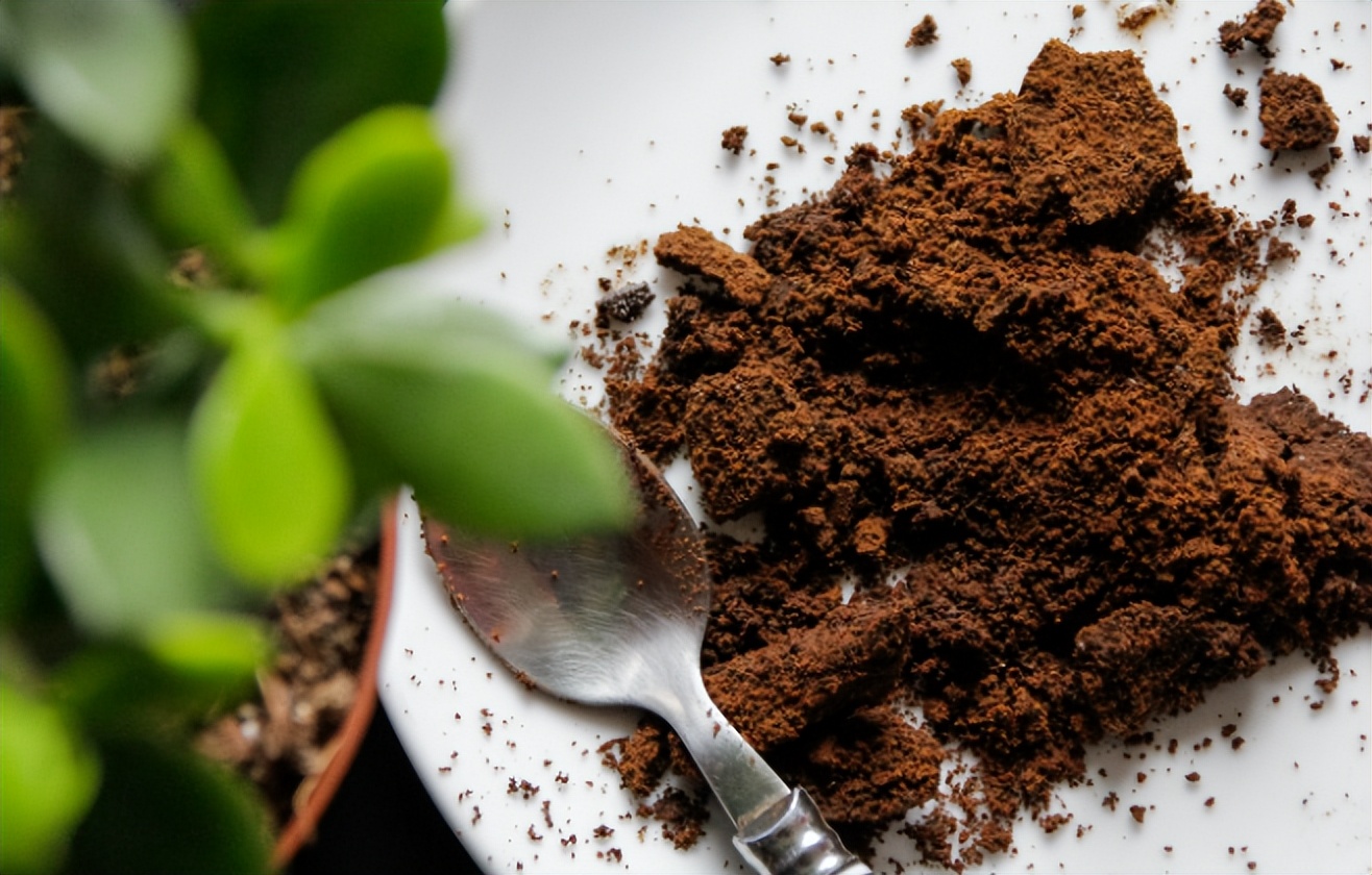 冰箱异味的原因及处理方法，除臭这4招就够了！