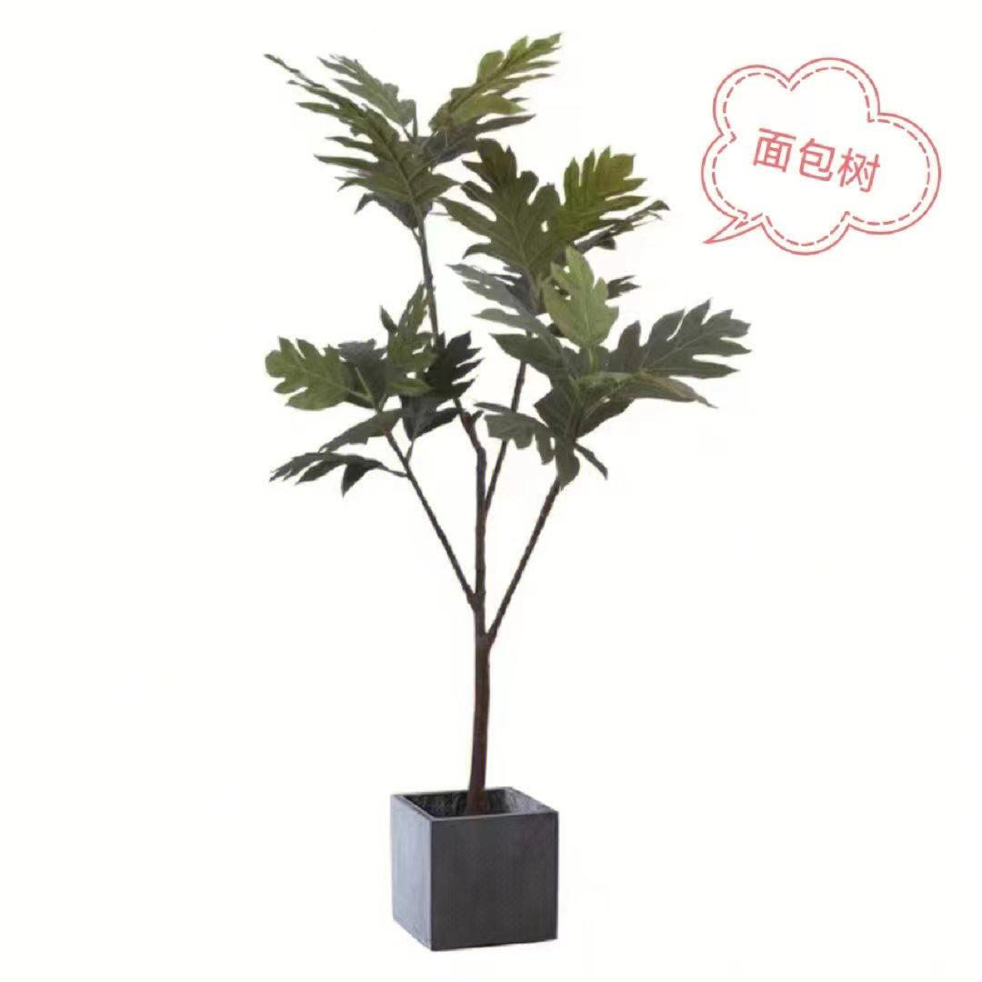 十种最好养的网红植物,家庭好养的网红植物