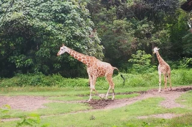 巴厘岛梦幻海滩攻略视频,巴厘岛度假胜地