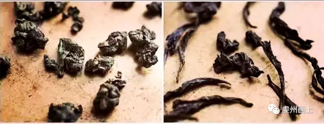 画上原唱版,乌龙茶里闹乌龙