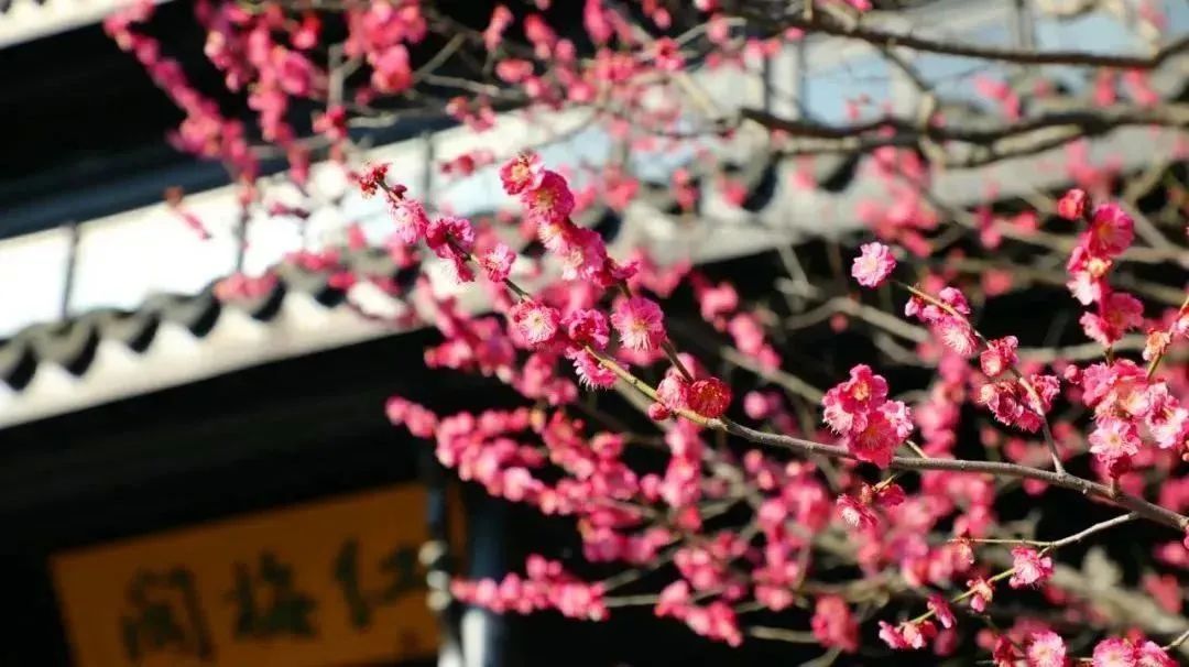 呼叫“特种兵”!目的地:江苏常州