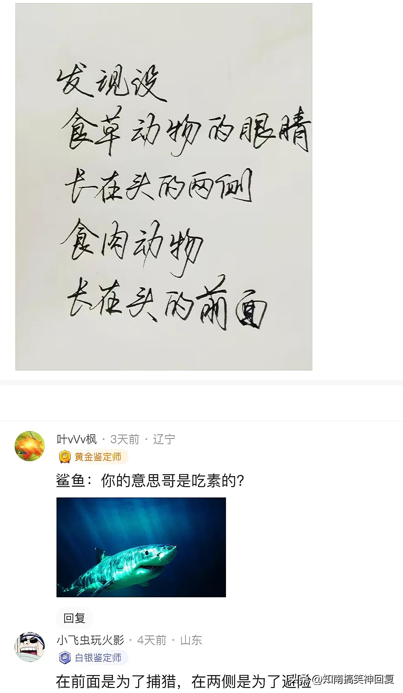 神回复绝了全是套路,神回复如果是你你会怎么选