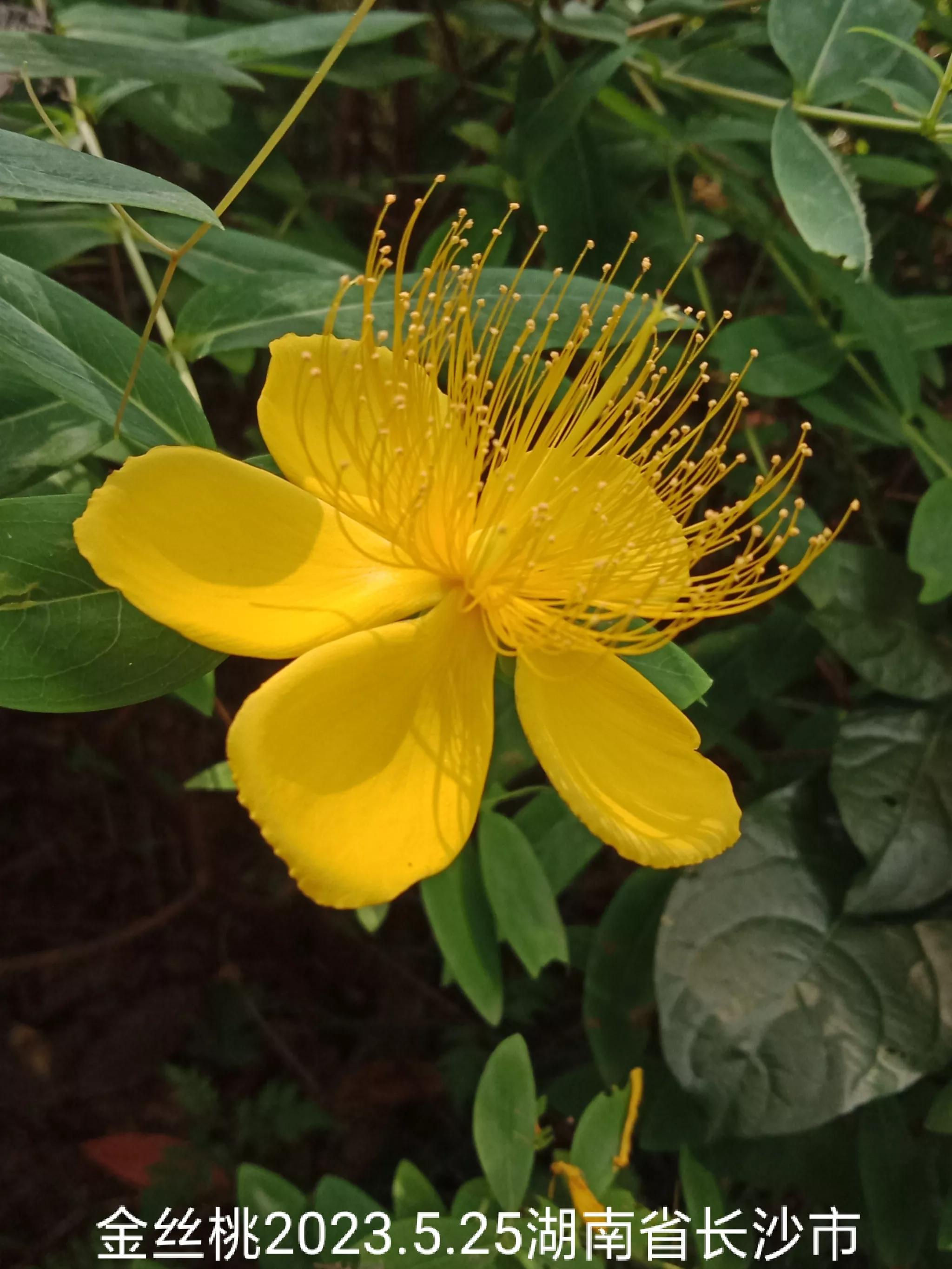 微信群忘保存找不到怎么办,微信群没保存通讯录丢失怎么找回