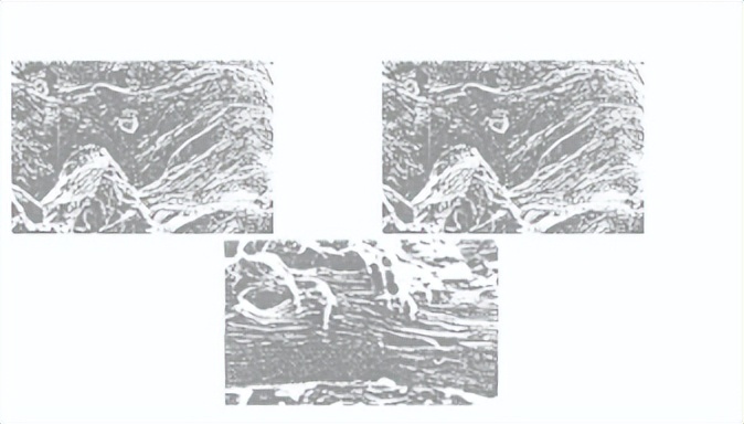 Ta和Re对NiNi3Al相界面断裂强度和蠕变强度的作用
