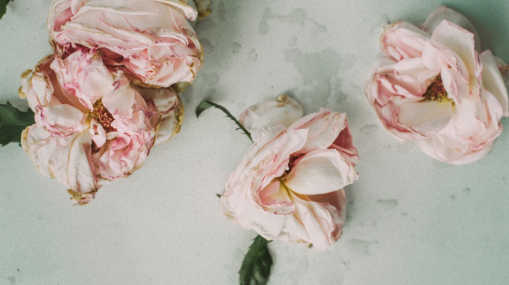 人体冷冻为什么不能解冻,人体冷冻面临的挑战