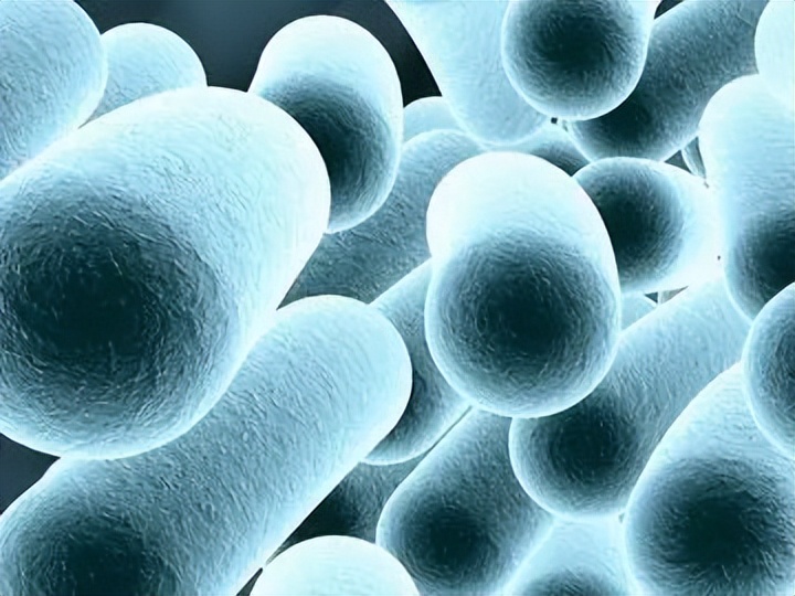 皮肤念珠菌病是什么症状,皮肤念珠菌病传染吗