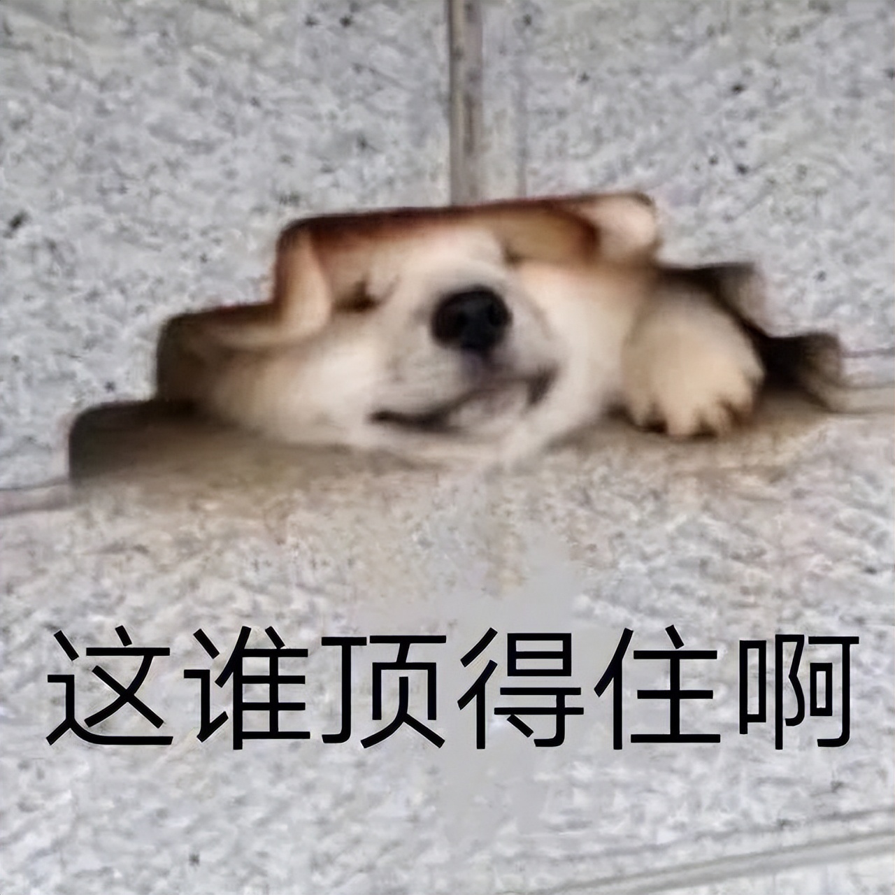 验证码骚扰怎么找到幕后黑手,验证码骚扰是什么情况