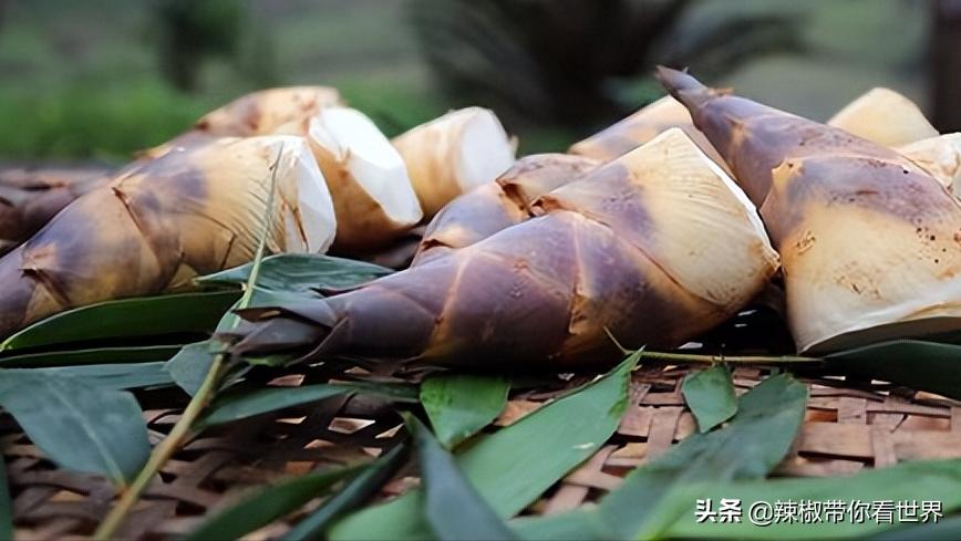 宁德大黄鱼之乡攻略,霞浦大黄鱼之乡图片