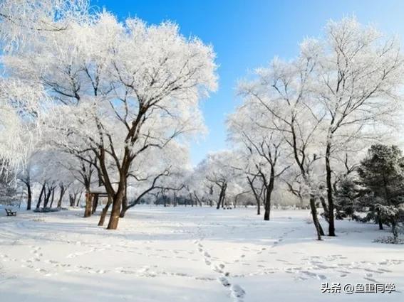 农历十一月十号是什么日子,十一月十一日农历是几号